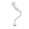 Thinking Works 2:22 Curve single monitor arm in matte white, studio product view