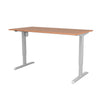 Conset DM33 Height Adjustable Desk