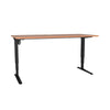 Conset DM43 Height Adjustable Desk