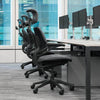 Humanscale Liberty Freedom Chair